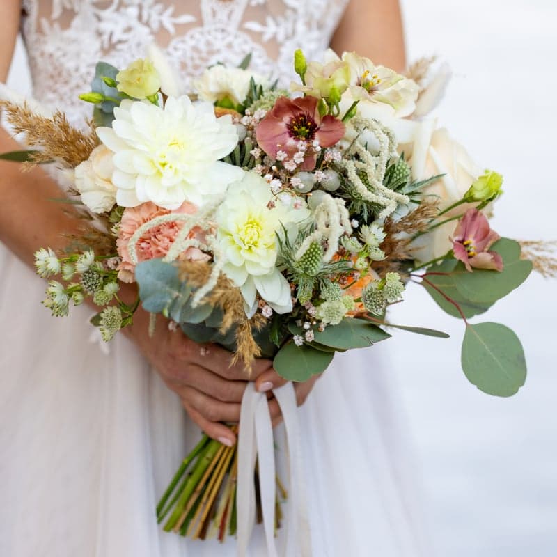 Frische Schnittblumen